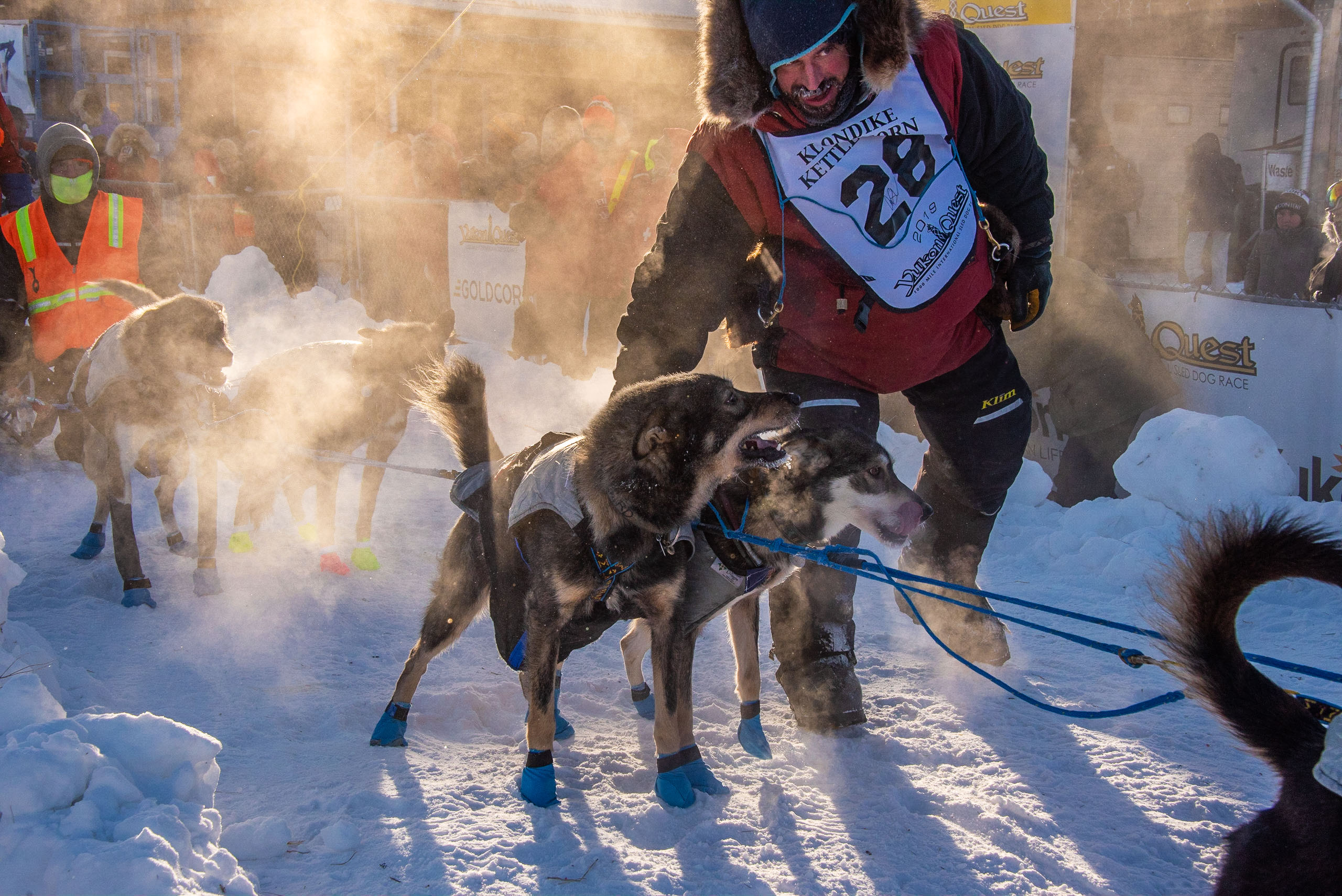 Yukon Quest 2019