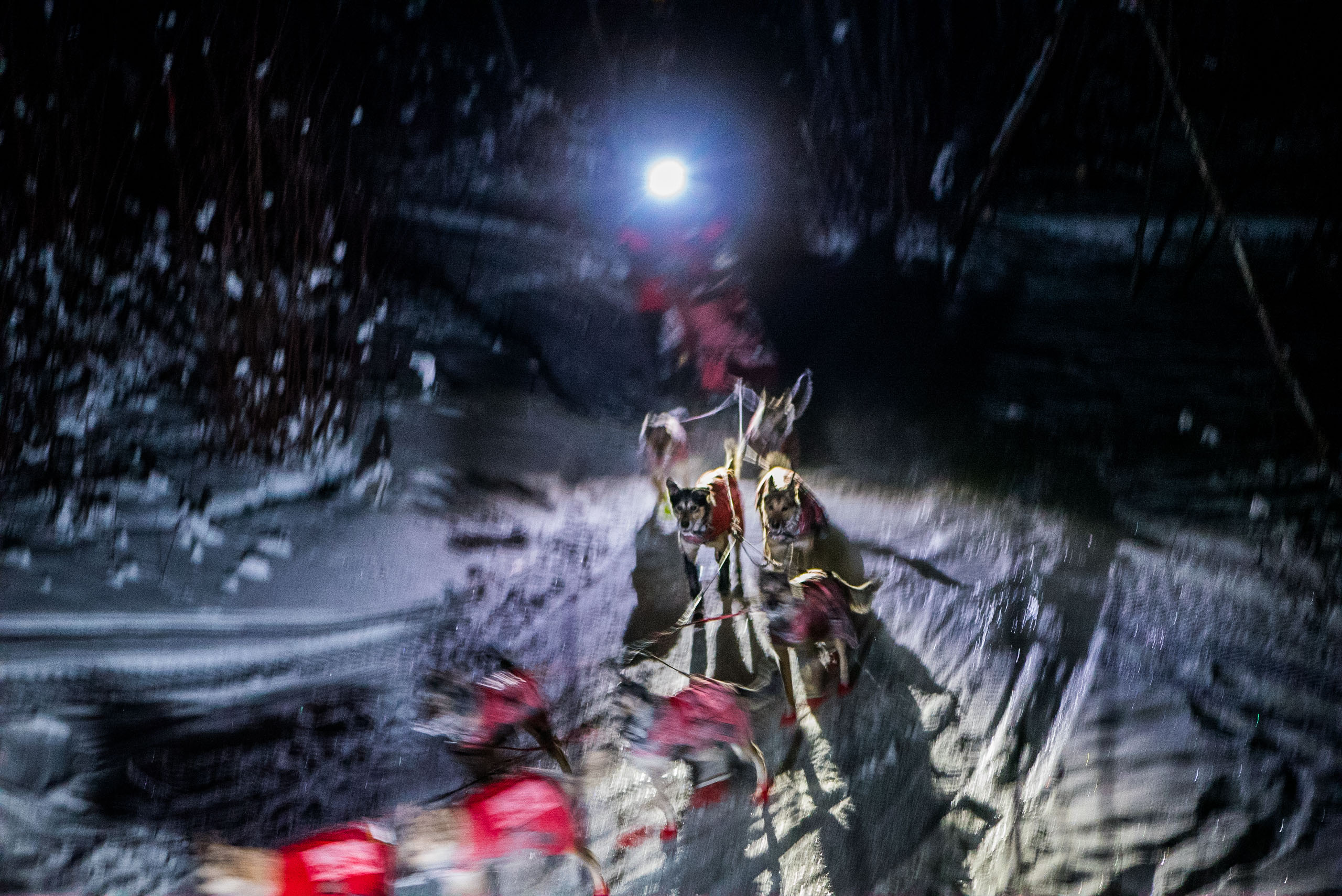 8-1_McCabeCreek_LauraNeese_YukonQuest2018-26